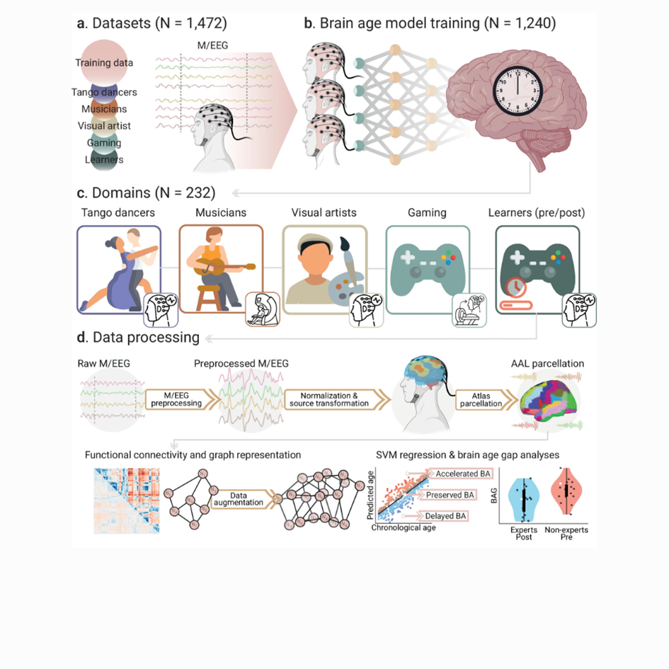 Captura de pantalla 2025-12-06 020247